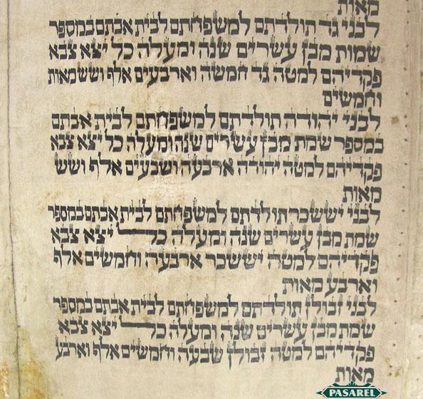 Torah Scroll Fragment - Ziereis Facsimiles